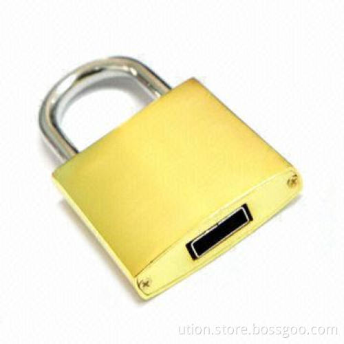 USB Flash Drive in Lock Design, Supports USB2.0 Interface, Free Log with Custom Sample Metal Housing